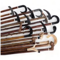 A selection of various walking sticks, canes, and staffs, including various horn and bone handled