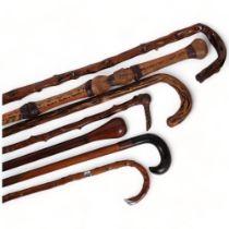 A group of various walking canes and staffs (7)