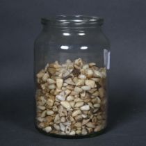 Curiosity / Macabre - A glass jar containing a large selection of porcelain human teeth, used for m