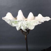 An Antique half Giant Clam shell (possibly Tridacna gigas), on a wrought iron garden pike stand,