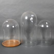 A group of three large vintage and modern glass domes, one with associated wooden stand, largest