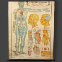 The A.L Educational series. Elementary Physiology Hygiene & Ambulance By Robert E Holding,