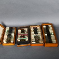 A collection of 132 antique microscope slides, prepared by amateur hands, subjects including, wing