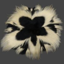 Taxidermy - a Mantled Black and White Colobus Monkey Skin Rug. An early-mid 20th century rug / throw