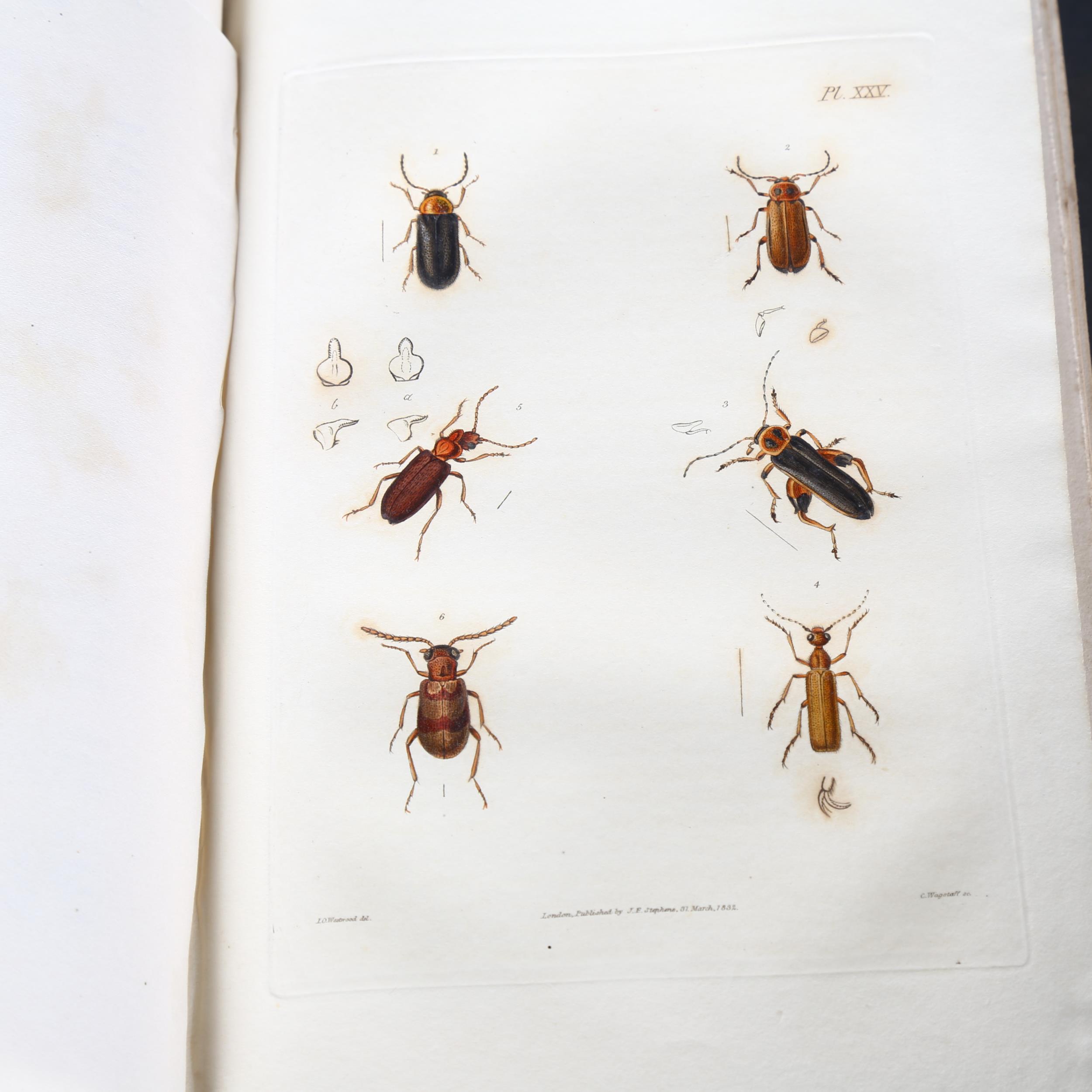 Illustrations of British Entomology or, A Synopsis of Indigenous Insects: containing their generic - Image 10 of 16