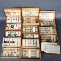A collection of eight antique softwood microscope slide collectors boxes containing an extensive