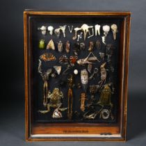 Jackie Attwood - "The Beautiful Dead", a stunningly well assembled display of mummified insects