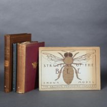 A small selection of titles on Bees: The Honey-Bee, It's Natural History, Habits and Anatomy and