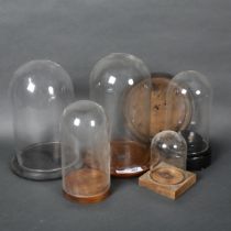 A group of various vintage an other glass domes, some with associated stands, additional spare