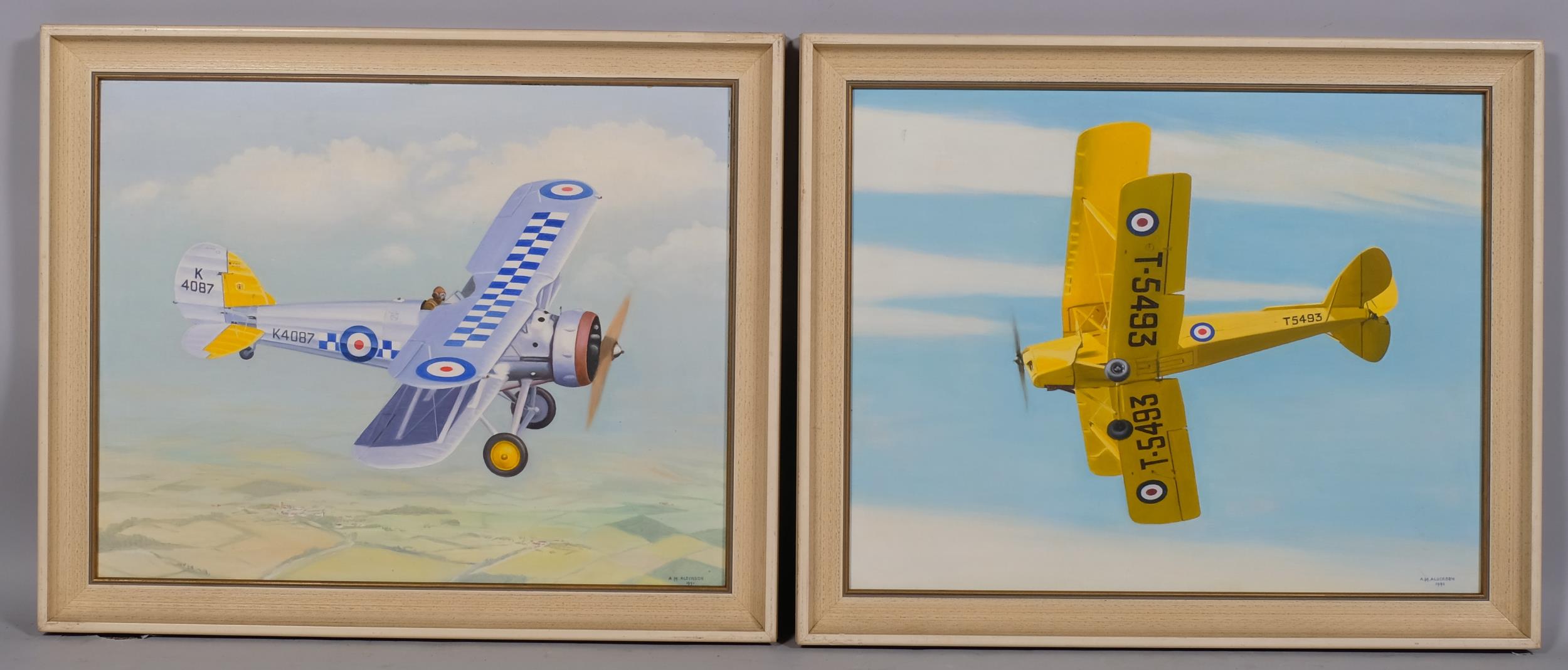 A M Alderson, pair of studies of biplanes, oils on board, signed and dated 1991, 38cm x 50cm, framed