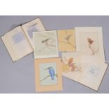 Alfred Brailsford, group of watercolour studies of birds, together with an original typed book by