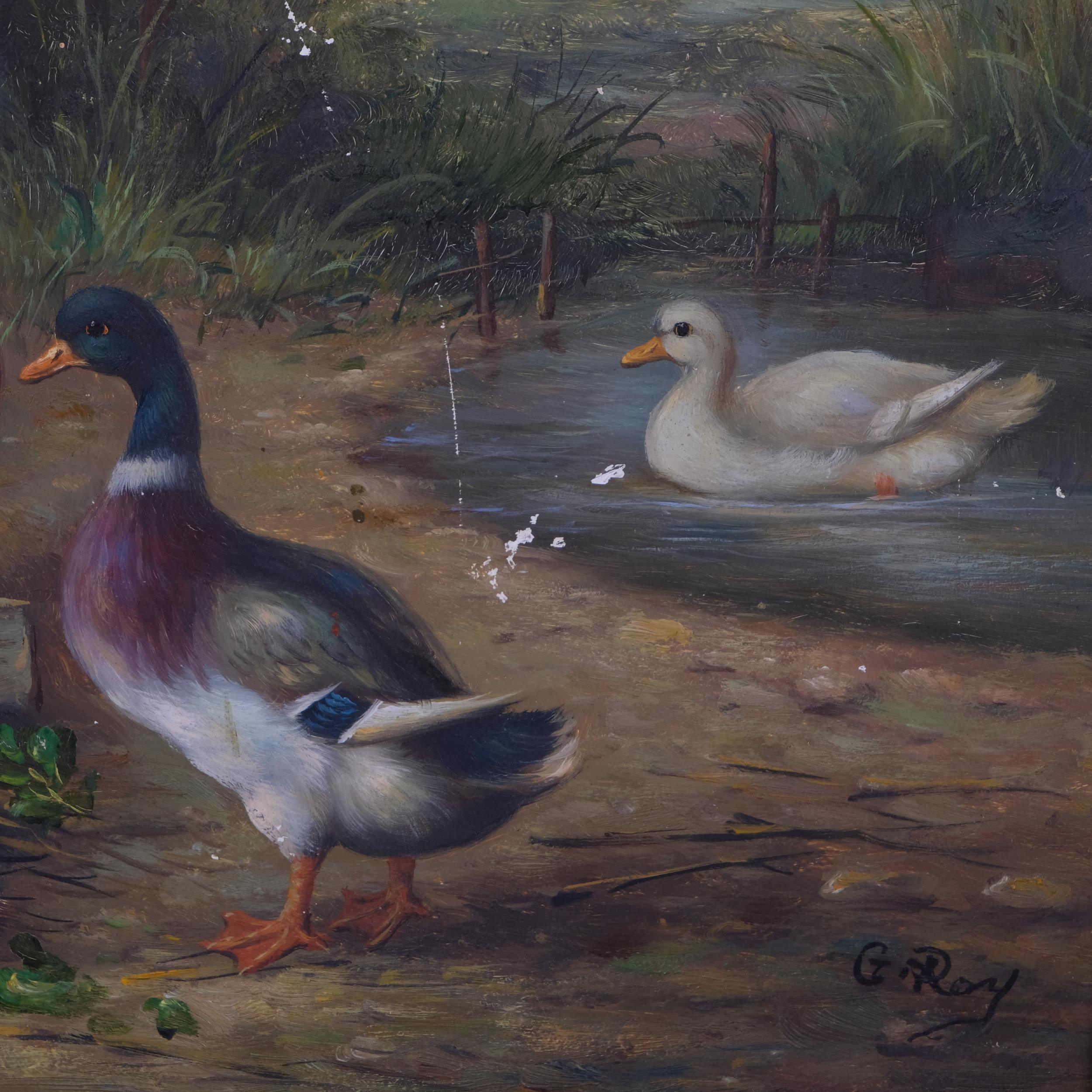 Contemporary study, poultry in the farmyard, oil on board, 20cm x 24cm, framed A few very small - Image 3 of 4