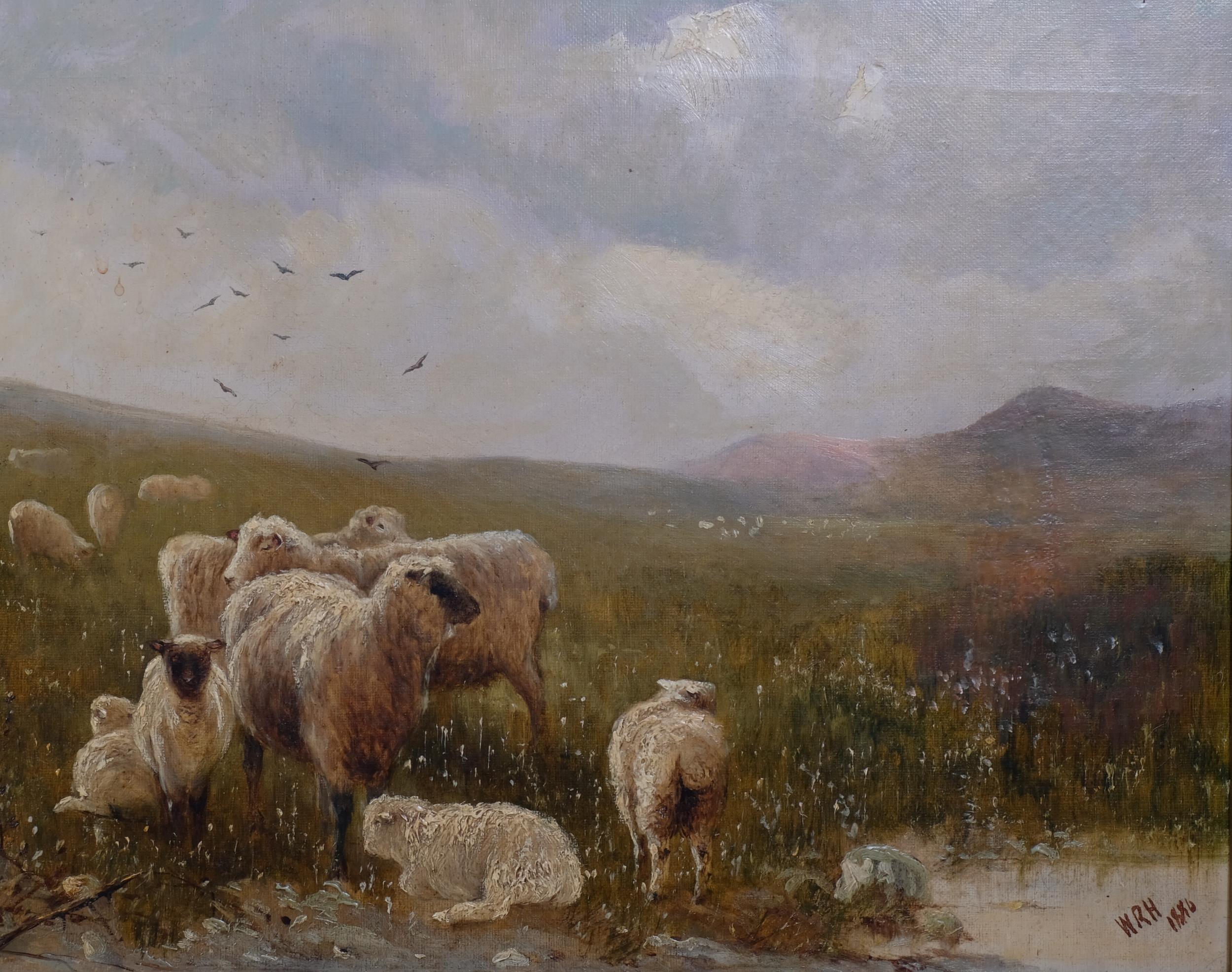 W Renthall Hill, cattle and sheep in landscapes, pair of 19th century oils on canvas, signed with - Image 2 of 4