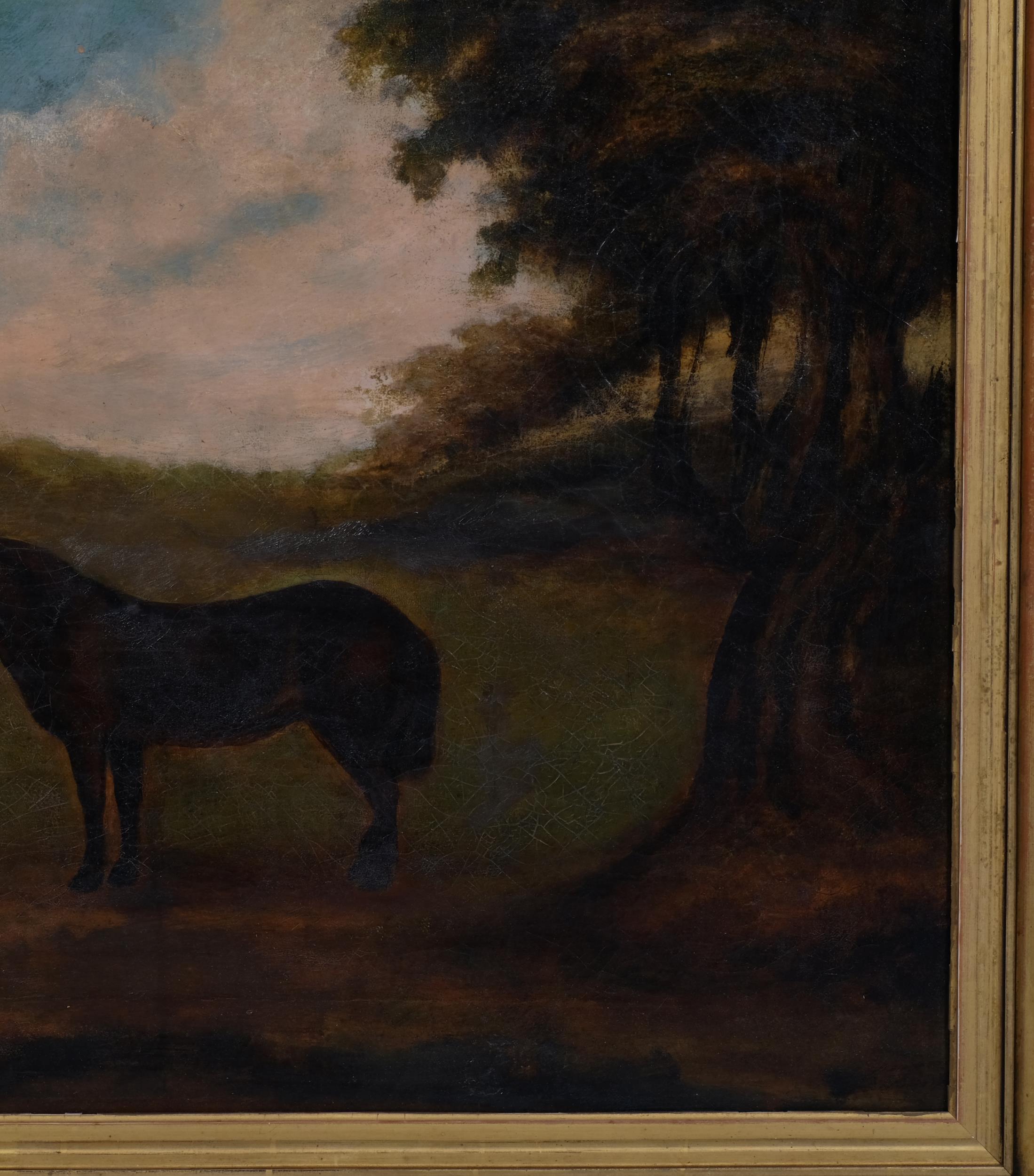 Nineteenth Century English Provincial Naïve School, oil on canvas, Horse with Dogs, 48cm x 59 cm - Image 3 of 4