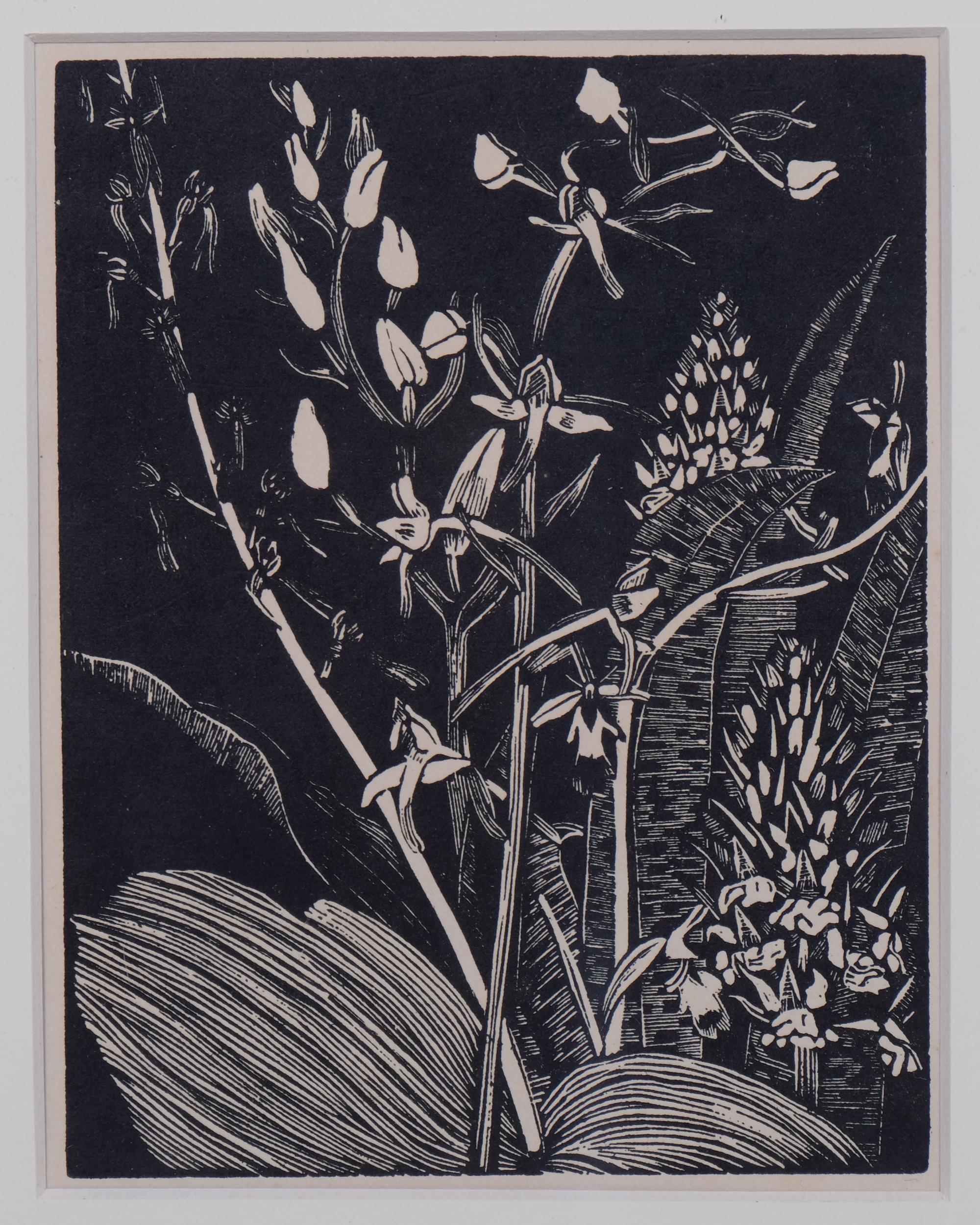 John Northcote Nash (1893-1977), wood engraving on paper, Orchids, 14cm x 10.7cm, mounted, glazed - Image 3 of 4