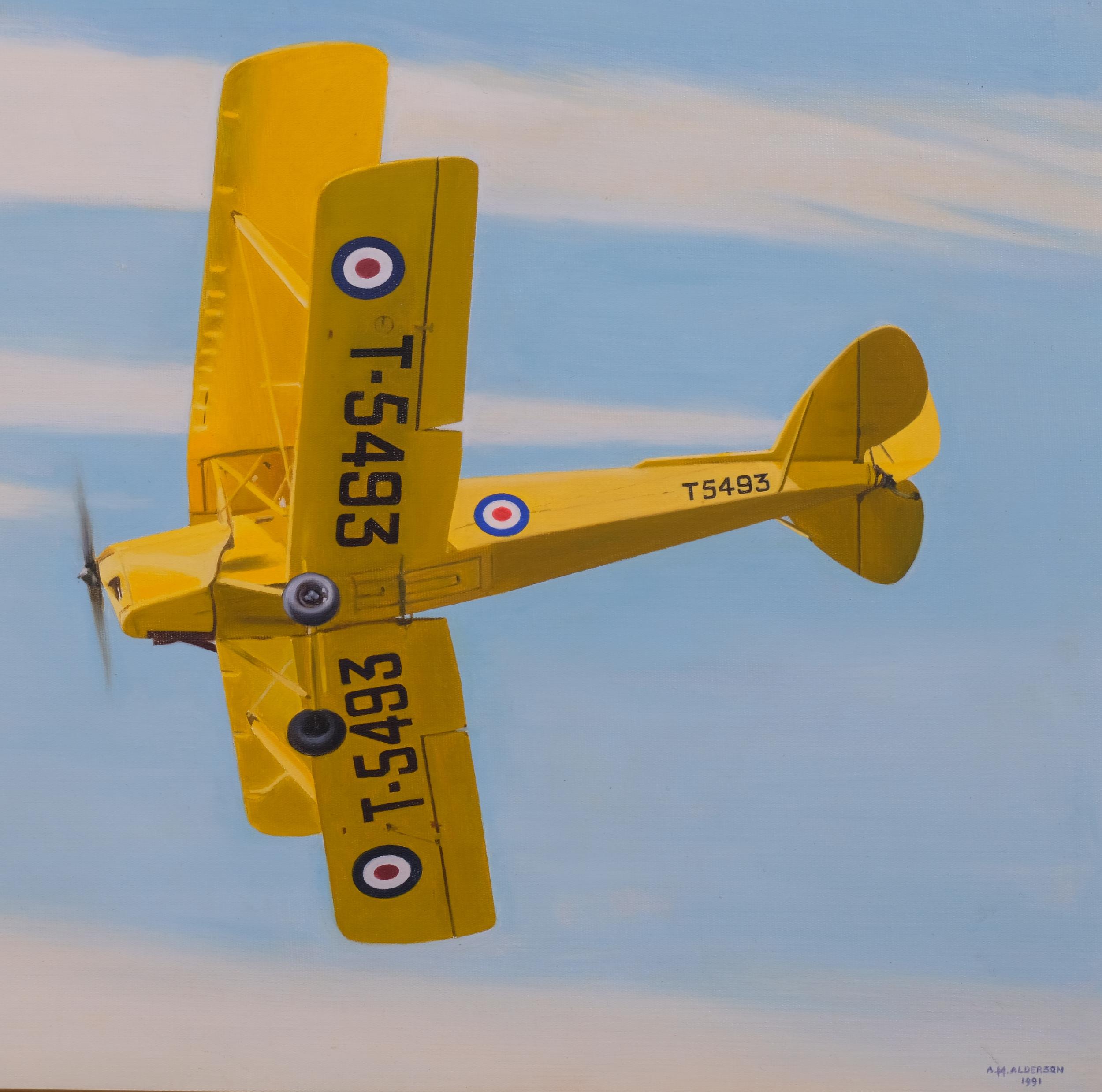 A M Alderson, pair of studies of biplanes, oils on board, signed and dated 1991, 38cm x 50cm, framed - Image 2 of 4