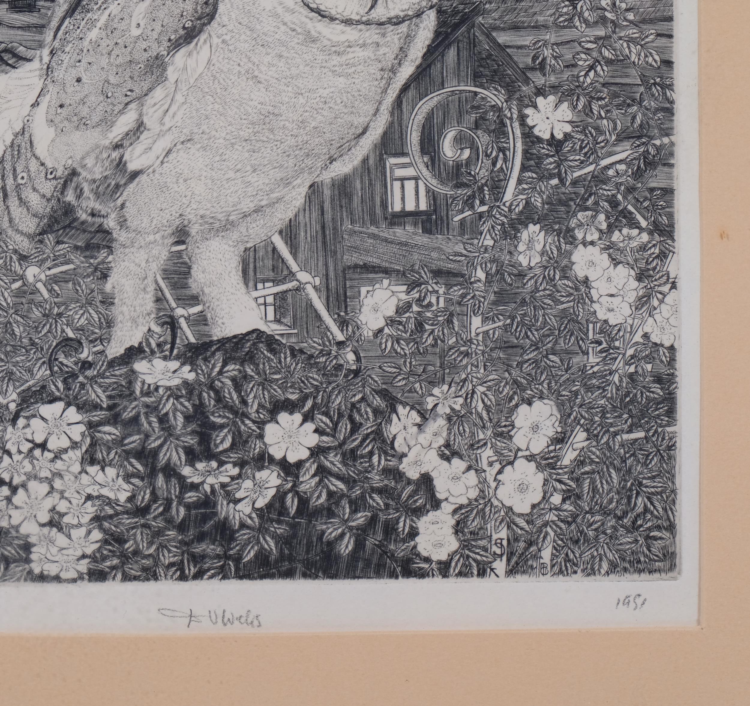 David Vaughan Wicks, barn owl, etching, signed in pencil, dated 1951, plate 22cm x 16.5cm, framed - Image 3 of 4