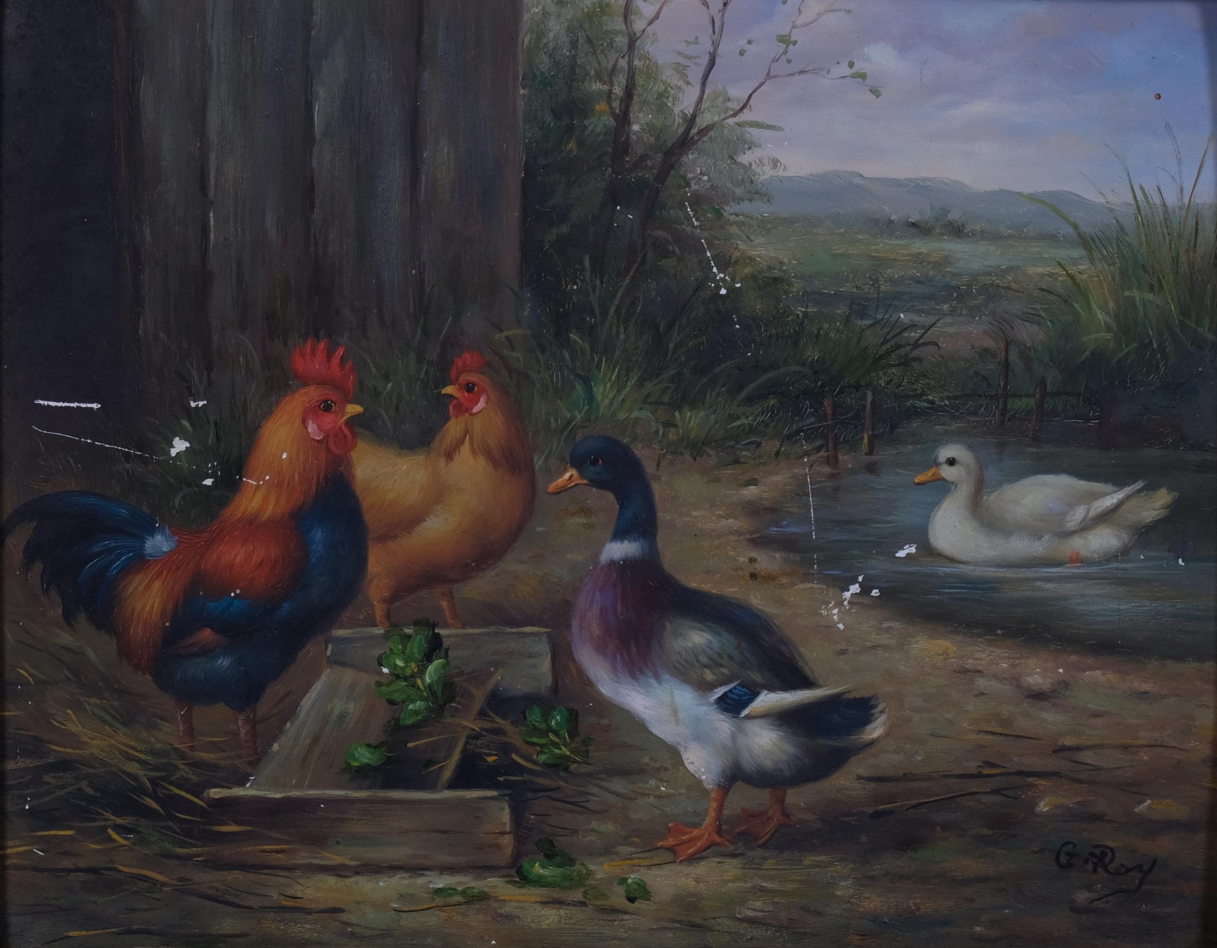 Contemporary study, poultry in the farmyard, oil on board, 20cm x 24cm, framed A few very small - Image 2 of 4