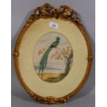 19th century study of an exotic bird, watercolour/applique, unsigned, in ornate gilt-gesso ribbon