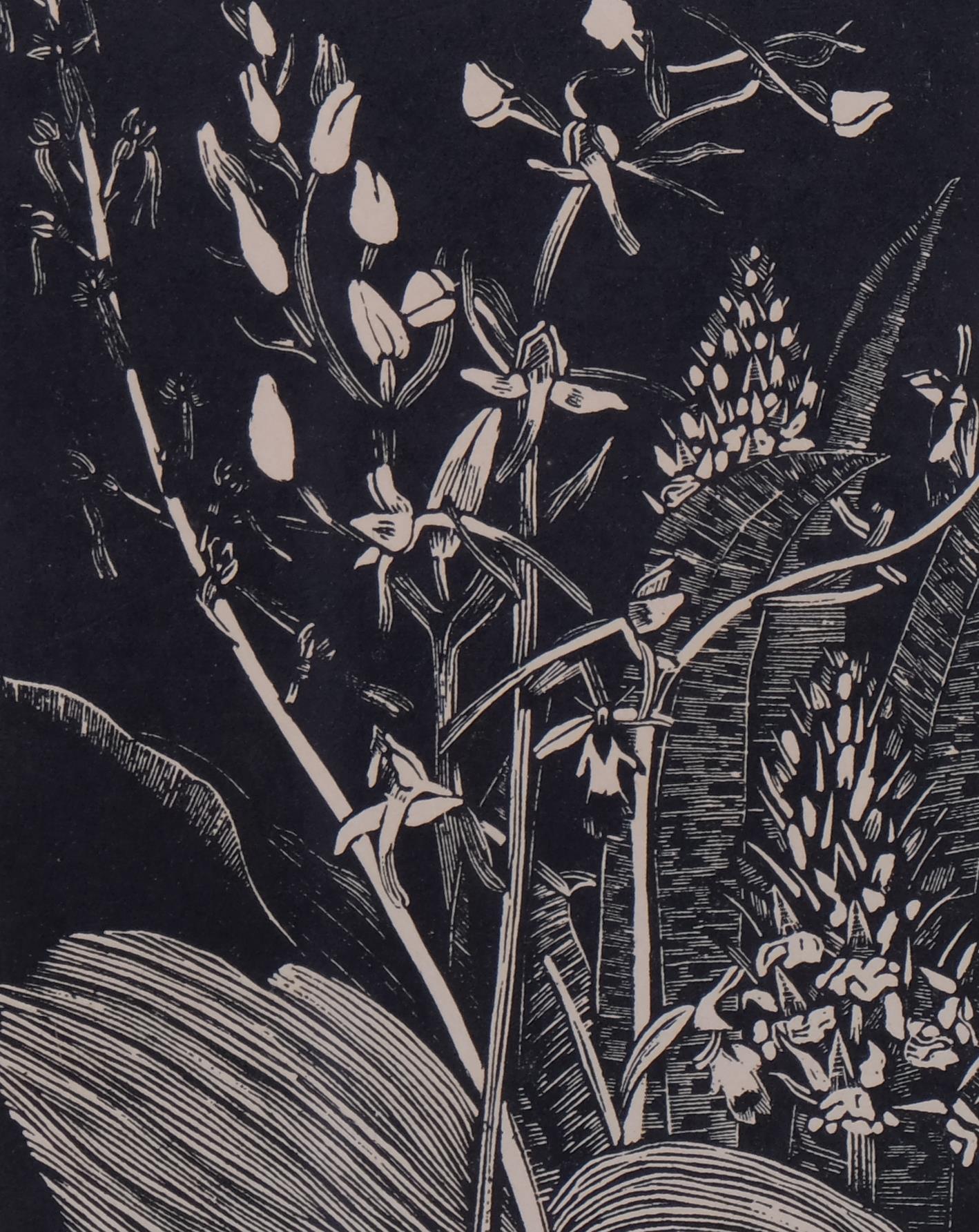John Northcote Nash (1893-1977), wood engraving on paper, Orchids, 14cm x 10.7cm, mounted, glazed