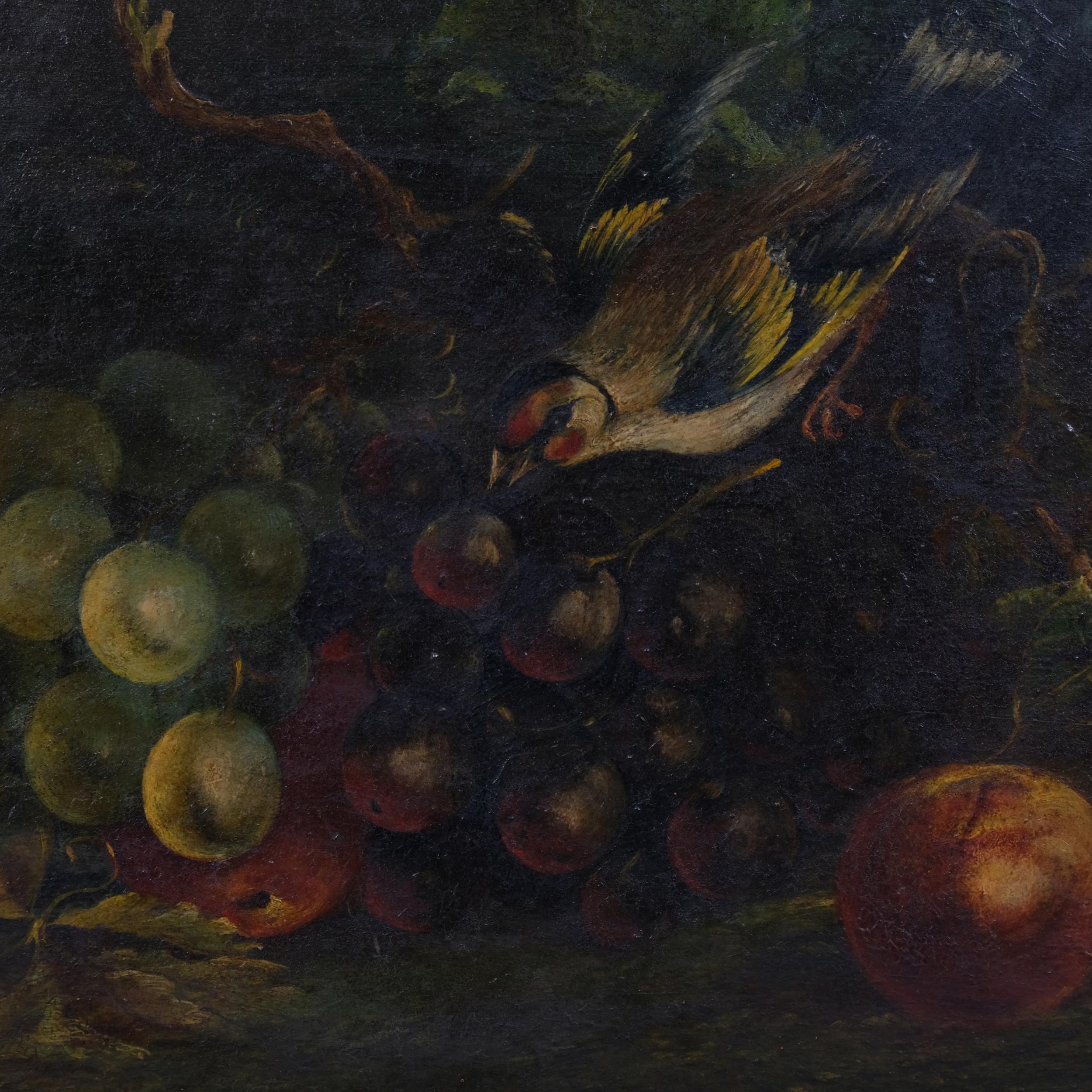 Bird with grapes on a mossy bank, 19th century oil on wood panel, unsigned, 30cm x 34cm, framed Good - Image 2 of 4