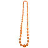 A long single-strand graduated amber bead necklace, beads ranging from 12.0 - 12.6mm, necklace 74cm,