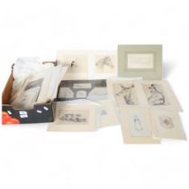 A quantity of pencil and watercolour drawings, depicting animals and figures