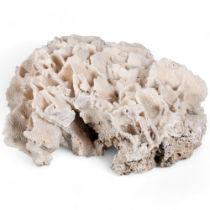 A large coral specimen, height 16cm.