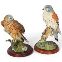 Border Fine Arts Studio, birds of prey models, by Russell Willis, comprising Kestrel (739480),