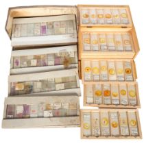 Approximately 75 early 20th Century Human histological microscope slides prepared by the same