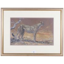 Coloured study of a leopard, signed and dated '99, 54cm x 70cm overall, framed