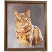 Dorothy Osbourne (1986), oil on canvas board, study of a ginger cat, framed, 68cm x 58cm