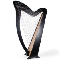 A modern 36-string Celtic style harp, with associated softshell casing