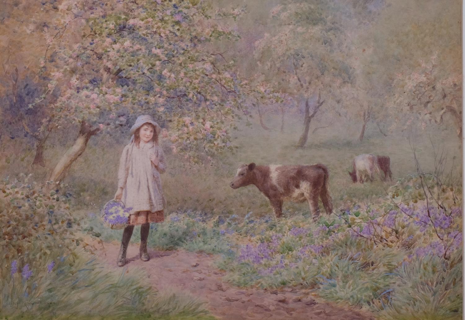 Joseph Kirkpatrick (1872 - 1930), girl and calf amongst the hyacinths, watercolour, signed, 23cm x