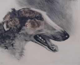 Kurt Meyer-Eberhardt, portrait of a Borzoi dog, coloured etching, signed in pencil, plate 24cm x