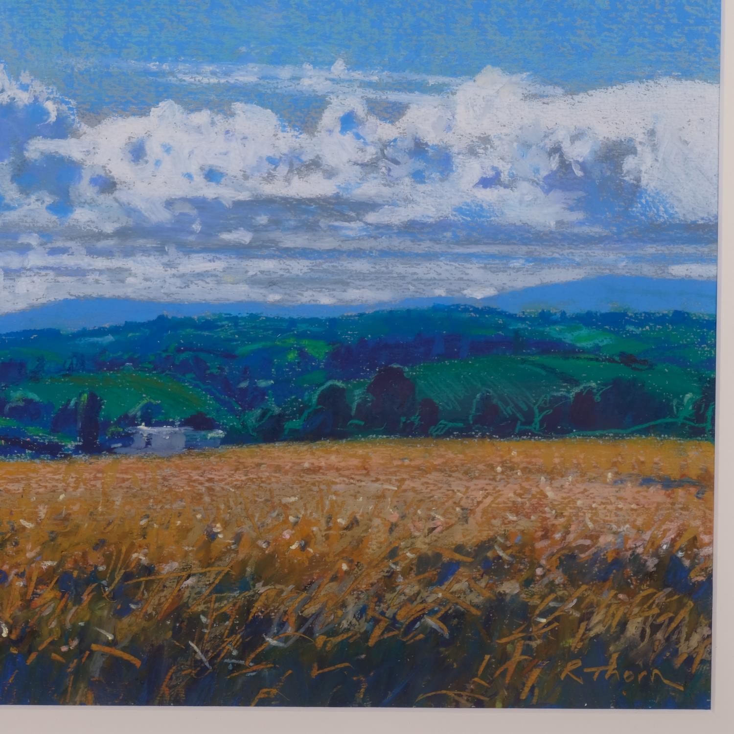 Richard Thorn, mid summer, coloured pastels on paper, signed, 25cm x 40cm, framed Good condition - Image 3 of 4