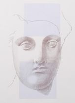 Alison Watt, narcissus, screenprint, signed in pencil, no. 12/100, sheet size 64cm x 51cm, framed
