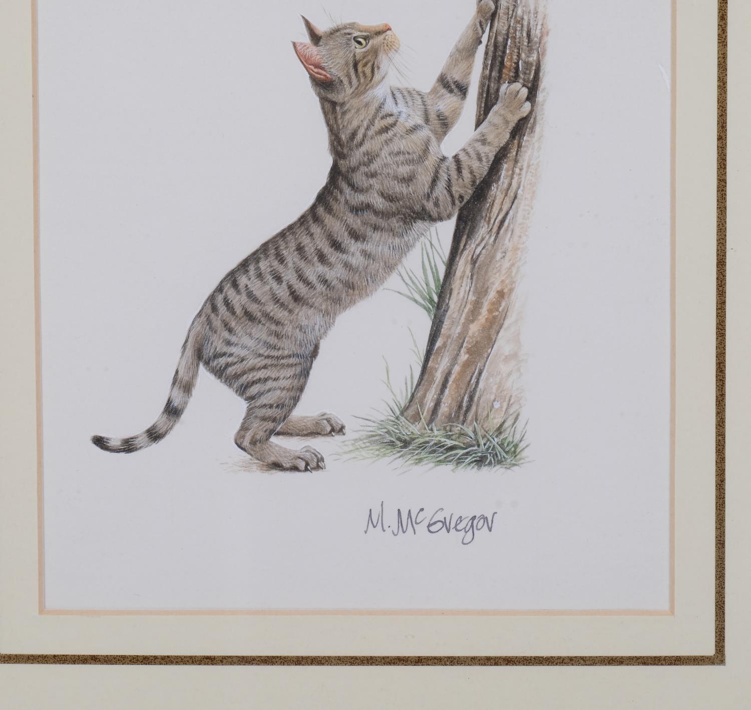 M.McGregor (XX-XXI), signed print on paper, Tabby Cat Scratching Tree, signed in ink, 10cm x 9cm, - Image 3 of 4