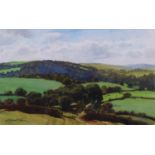 Richard Thorn, Devon landscape, watercolour, signed, 23cm x 37cm, framed Good condition