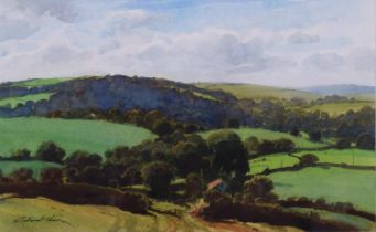 Richard Thorn, Devon landscape, watercolour, signed, 23cm x 37cm, framed Good condition