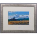 Richard Thorn, mid summer, coloured pastels on paper, signed, 25cm x 40cm, framed Good condition