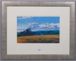 Richard Thorn, mid summer, coloured pastels on paper, signed, 25cm x 40cm, framed Good condition