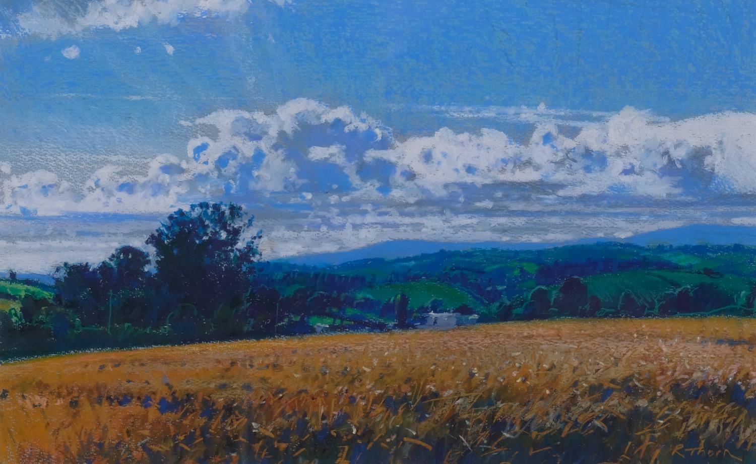 Richard Thorn, mid summer, coloured pastels on paper, signed, 25cm x 40cm, framed Good condition - Image 2 of 4