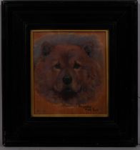 Monica Gray, portrait of a Chow dog, oil on panel, signed, 22cm x 20cm, framed Good condition