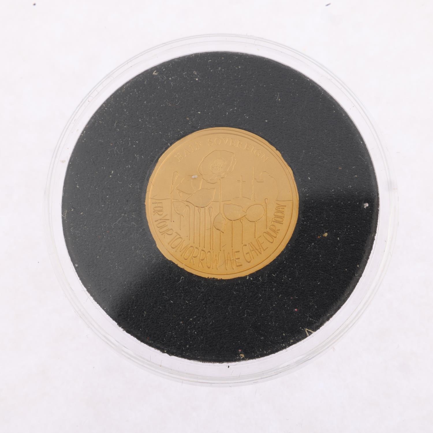 An Elizabeth II 2018 Alderney Centenary of End of World War I gold matt proof half sovereign coin, - Image 2 of 4