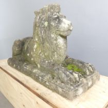 A weathered concrete garden statue, study of a recumbent Lion. 90x56x32cm. Generally in good