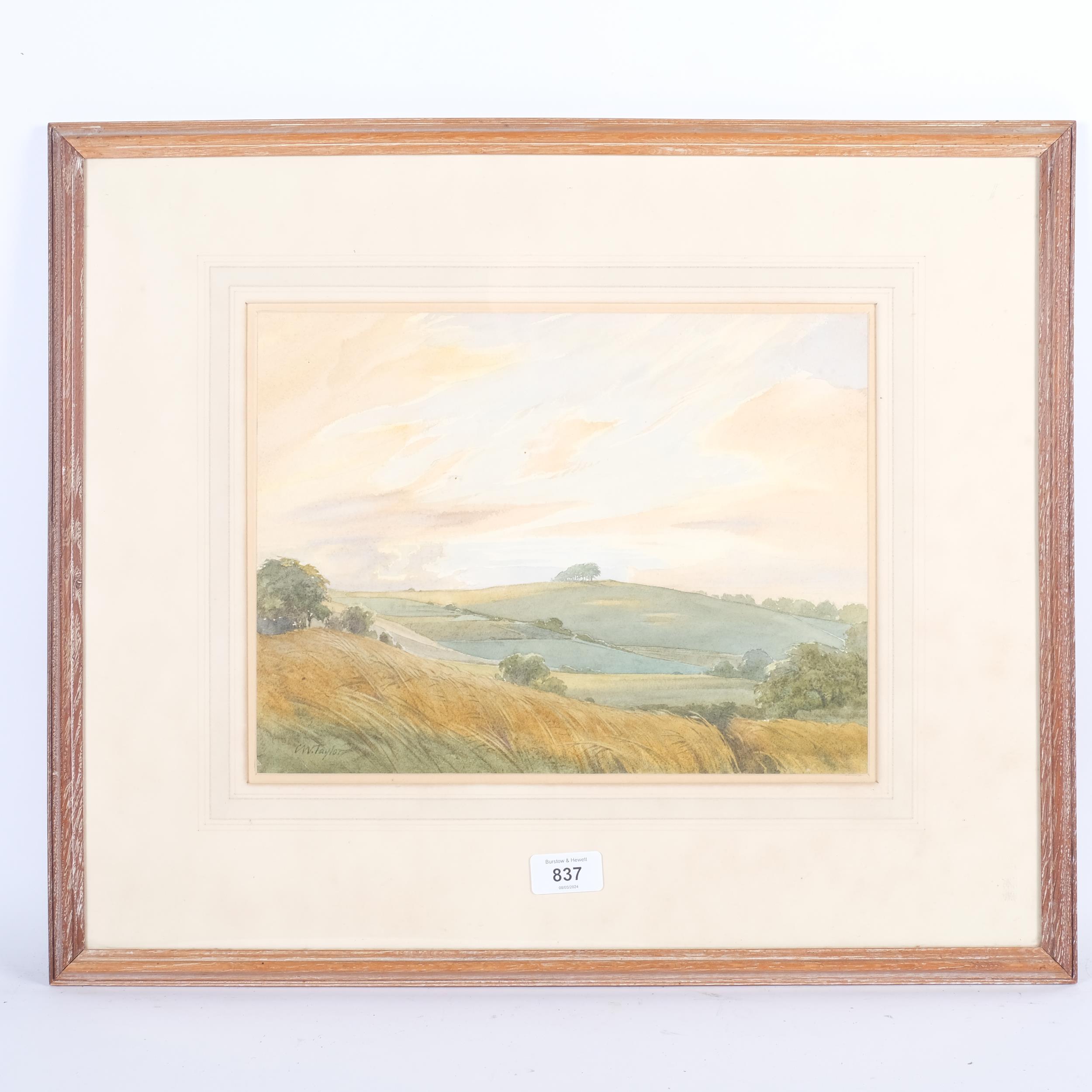 C W Taylor, watercolour view, "Muntham Clump, Sunset", in limed oak frame, 46cm x 55cm - Image 2 of 2