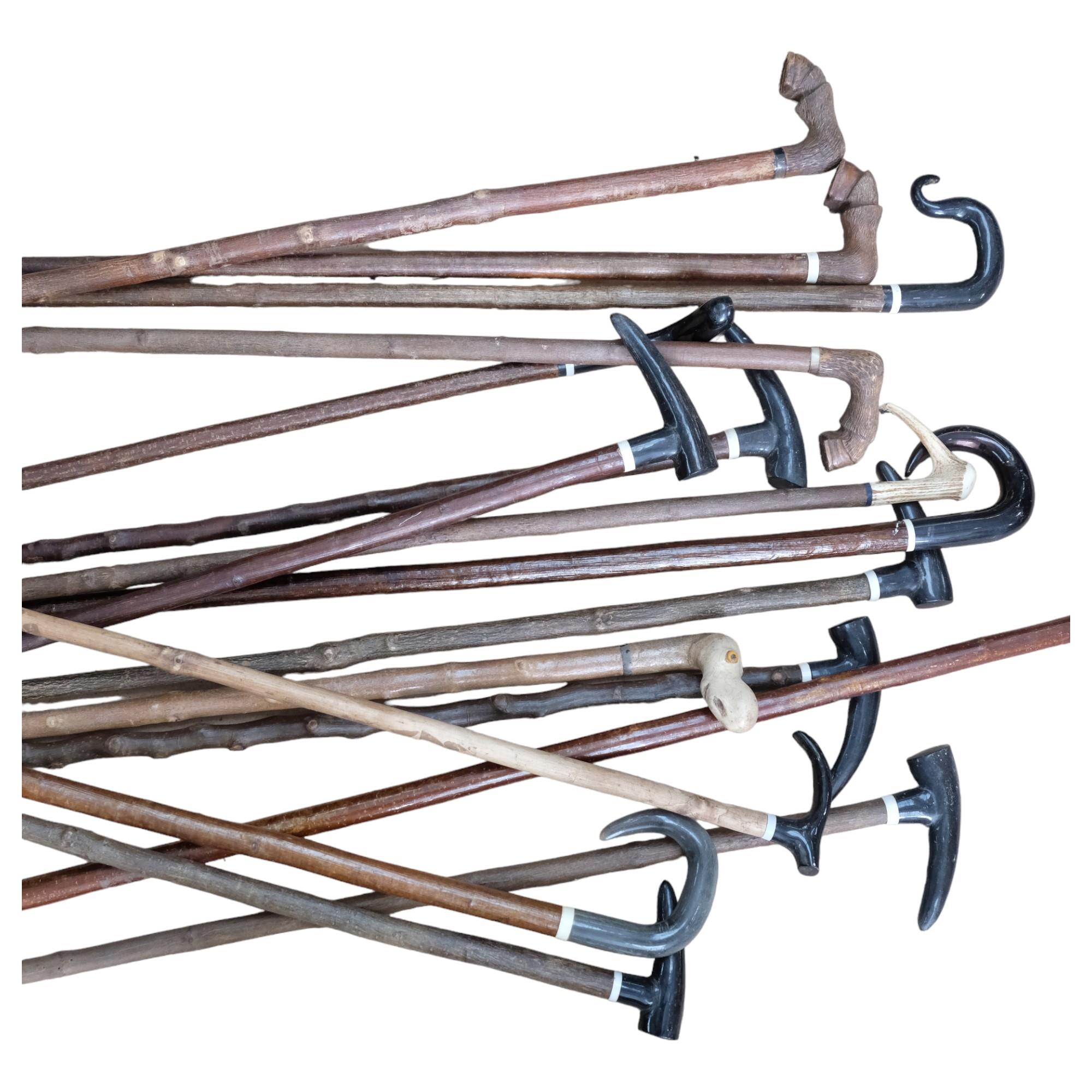 A collection of 17 various walking sticks and staffs, hoof and horn-handled