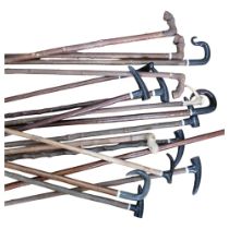 A collection of 17 various walking sticks and staffs, hoof and horn-handled