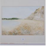 Glyn Cavenagh, watercolour, study of the Cookmere River towards the sea, image 36cm x 54cm, 58cm x